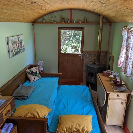 Rosa The Cosy Cabin - Gypsy Wagon - Shepherds Hut, River Views Off-Grid Eco Living Pedrogao Grande Exteriör bild