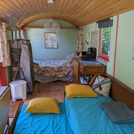Rosa The Cosy Cabin - Gypsy Wagon - Shepherds Hut, River Views Off-Grid Eco Living Pedrogao Grande Exteriör bild