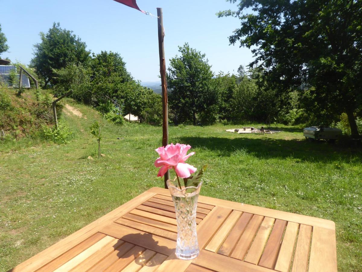 Rosa The Cosy Cabin - Gypsy Wagon - Shepherds Hut, River Views Off-Grid Eco Living Pedrogao Grande Exteriör bild
