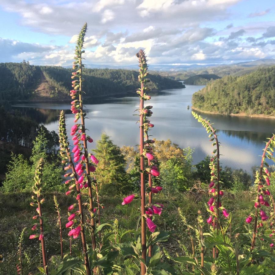 Rosa The Cosy Cabin - Gypsy Wagon - Shepherds Hut, River Views Off-Grid Eco Living Pedrogao Grande Exteriör bild