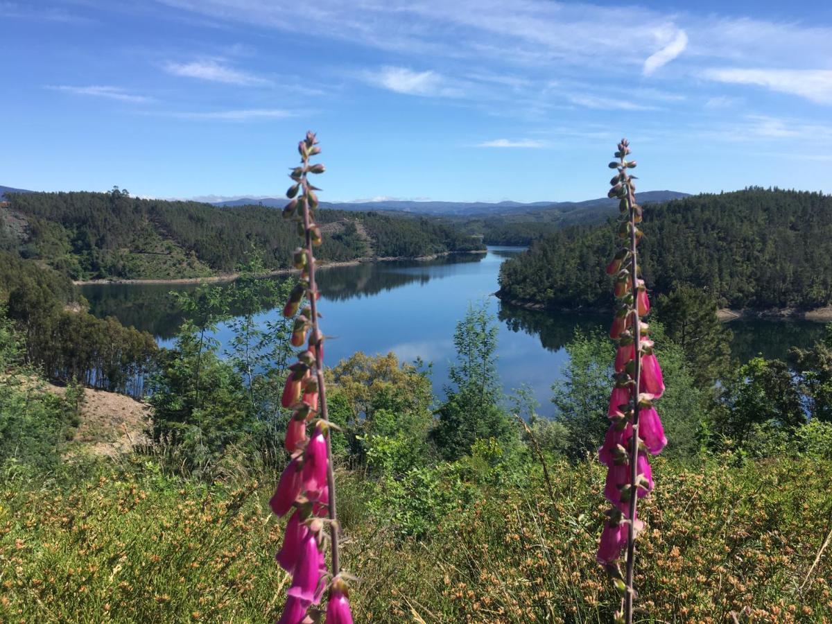 Rosa The Cosy Cabin - Gypsy Wagon - Shepherds Hut, River Views Off-Grid Eco Living Pedrogao Grande Exteriör bild